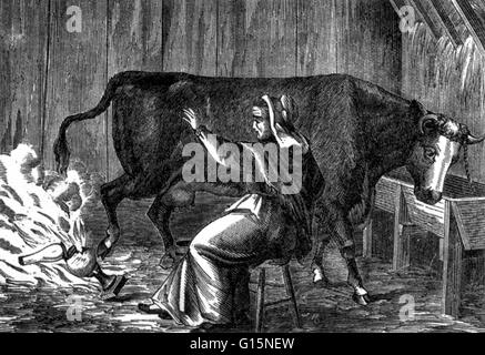 On the evening of October 8, 1871, just after nine o'clock, a fire broke out in the barn behind the home of Patrick and Catherine O'Leary at 13 DeKoven Street. How the fire started is still unknown today, but an O'Leary cow often gets the credit. Firefigh Stock Photo