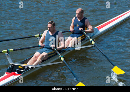 Rowers competing in Shrewsbury Regatta on the River Severn, Shropshire, England, UK. Stock Photo