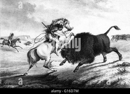 Indians hunting buffalo hi-res stock photography and images - Alamy