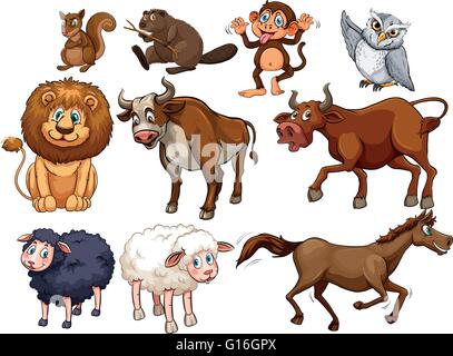 Wild animals in various types illustration Stock Vector