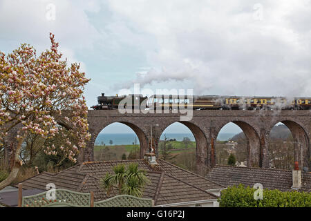 A green steam train with brown and cream coloured coaches passes over the many arches of a viaduct on the South Devon coast Stock Photo