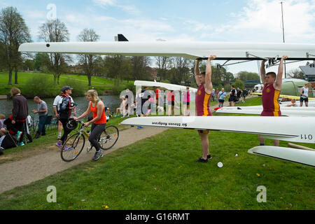 Teams of rowers at  Shrewsbury Regatta on the River Severn, Shropshire, UK Stock Photo