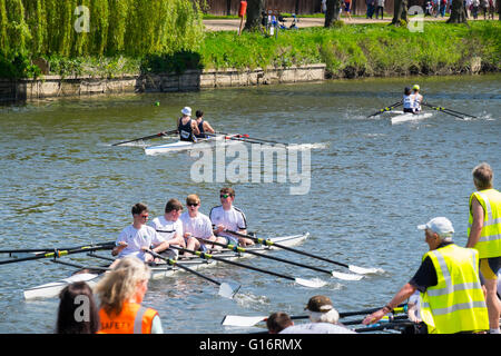 Rowing crews on the River Severn during Shrewsbury Regatta, Shropshire, England, UK Stock Photo