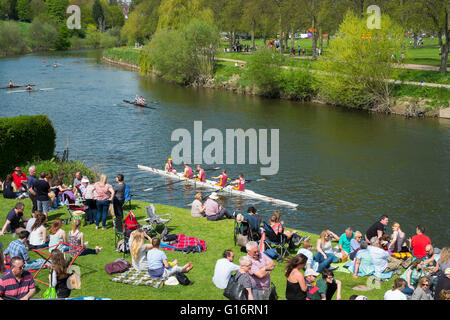Spectators watch rowers competing in Shrewsbury Regatta on the River Severn, Shropshire, England, UK Stock Photo