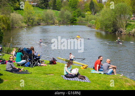 Spectators watch rowers competing in Shrewsbury Regatta on the River Severn, Shropshire, England, UK Stock Photo