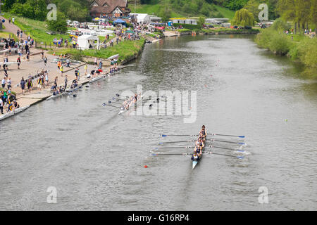 Rowing crews on the River Severn during Shrewsbury Regatta, Shropshire, England, UK Stock Photo