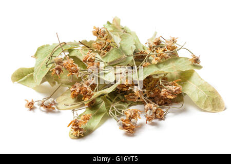 Dried linden flower  Isolated on white background. The flowers resemble miniature umbrellas with yellowish color, have a strong Stock Photo