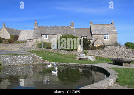 Worth Matravers duck pond, Corfe, Purbeck, Jurassic Coast, Dorset, England, Great Britain, United Kingdom, UK, Europe Stock Photo
