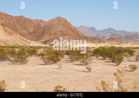 Desert mountains near Study Butte, Texas. Stock Photo
