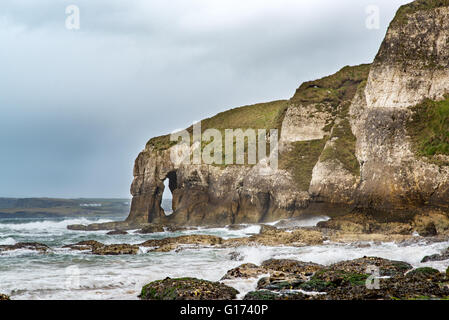 Rock Arch, known as the Elephant Rock,  near White Rocks Beach, Portrush, Co. Antrim, Northern Ireland. Stock Photo