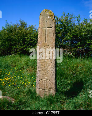 Kilnasaggart Pillar Stone, 1st Century, early 700's. Oldest datable stone in Ireland, County Armagh, Northern Ireland Stock Photo