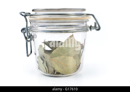 Dried bay leaves in jar isolated on white Stock Photo