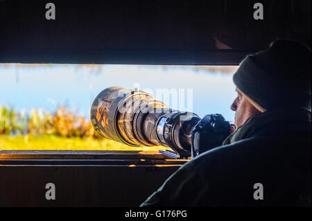 Photographer with long lens in hide at Leighton Moss RSPB reserve near Silverdale Lancashire Stock Photo