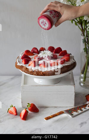 Strawberry cake with whipped coconut cream and topped with fresh strawberries on a white cake stand, being dusted with powdered Stock Photo