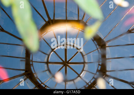 Ceiling of a conservatory being reflected on the water surface of a pond Stock Photo