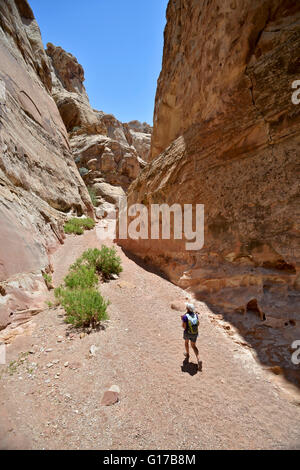 Hiker exploring Little Wild Horse and Bell Canyon Loop, Goblin Valley State Park, San Rafael Swell, Utah Stock Photo