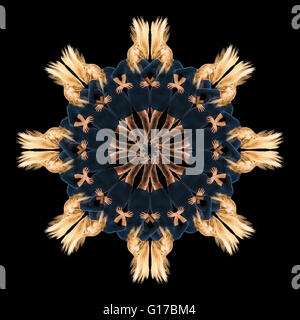 Mandala pattern created by multiple image of teenage girl with long blonde hair Stock Photo