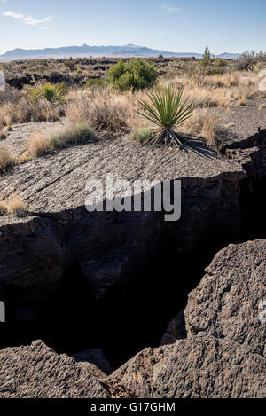 Carrizozo Malpais lava field, Valley of Fires Recreation Area, New Mexico. Stock Photo
