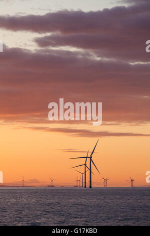 Sunrise over Walney Offshore Wind Farm off the Cumbrian Coast in the UK Stock Photo