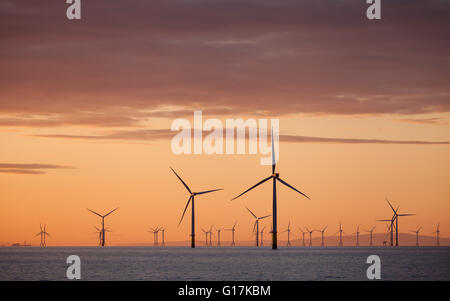 Sunrise over Walney Offshore Wind Farm off the Cumbrian Coast in the UK Stock Photo