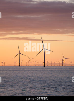 Sunrise over Walney Offshore Wind Farm off the Cumbrian Coast in the UK Stock Photo