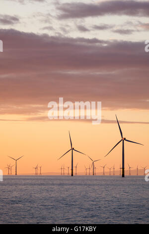 Sunrise over Walney Offshore Wind Farm off the Cumbrian Coast in the UK Stock Photo