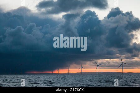 Sunrise over Walney Offshore Wind Farm off the Cumbrian Coast in the UK Stock Photo