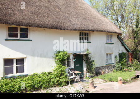A thatched cottage somewhere in rural Devonshire on a sunny Spring morning Stock Photo