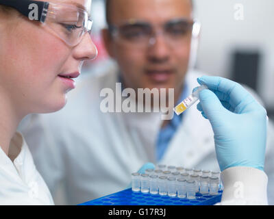 Scientists preparing to analyse samples from clinical trial, Jenner Institute, Oxford University Stock Photo