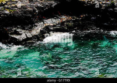 Cove at the base of Tintagel Castle, Cornwall Stock Photo - Alamy