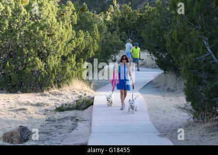 Woman walking dogs on a paved trail in El Malpais National Monument, New Mexico. Stock Photo