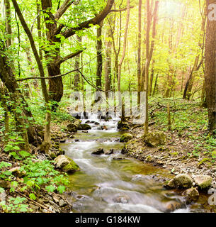 Mountain stream in spring forest in Zadiel valley in Slovakia Stock Photo