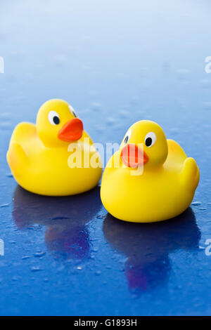 two yellow plastic toy ducks on a reflective blue surface with water drops Stock Photo