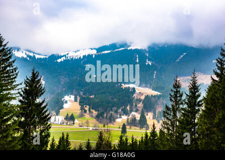 Forested mountain slope in low lying clouds Stock Photo