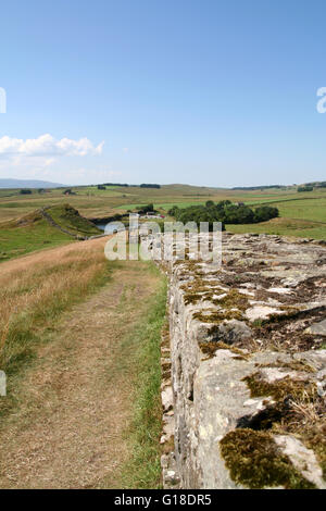 Hadrien's Wall following the crest of the Great Whin Sill across rural  Nothumberland, England. Stock Photo