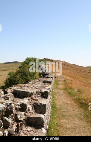 Hadrien's Wall following the crest of the Great Whin Sill across rural  Nothumberland, England. Stock Photo