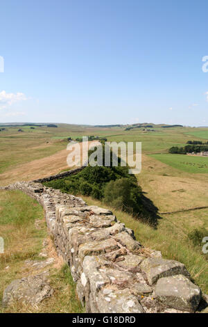 Hadrien's Wall following the crest of the Great Whin Sill across rural  Nothumberland, England. Stock Photo