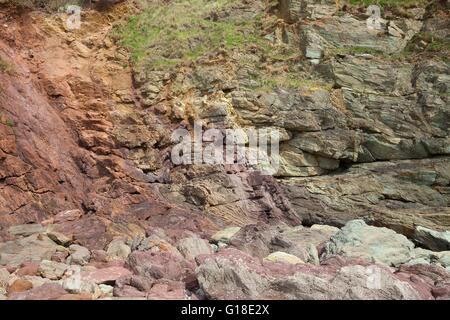 Colourful cliff face at Hope Cove, Devon, England. Stock Photo