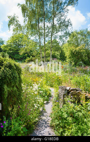 A path winds its way through the ruins of an old farm building into a wild flower meadow in Buckland Monachorum Yelverton Devon Stock Photo