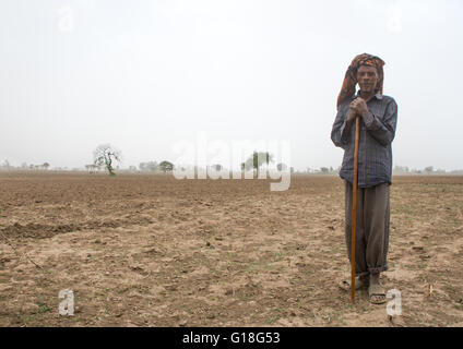 Ethiopian farmer man in his field, Kembata, Alaba kuito, Ethiopia Stock Photo