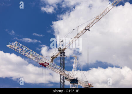 Two cranes work on a constuction site in Burlington Ont, on May 9, 2016. Stock Photo