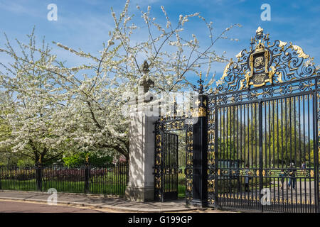 Entrance gates to Queen Mary's Garden, Regents Park, London UK Stock Photo