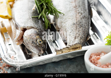 Rainbow trout ready to be grilled Stock Photo