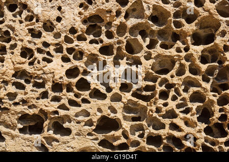 pocketed welded tuff rock background texture Stock Photo