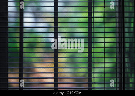 window louver closeup view abstract background