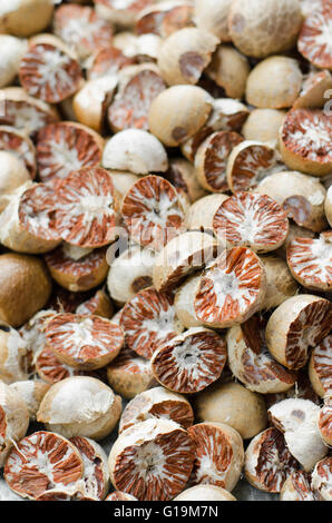 Dried Betel nut, Areca catechu, Areca Nut background, selective focus. Stock Photo
