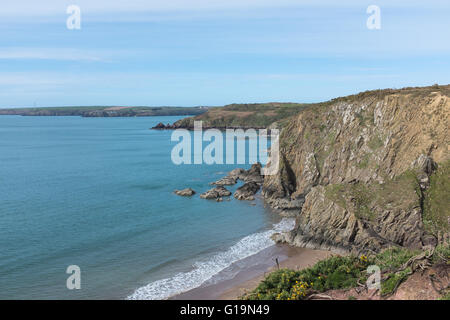 View over Lindsway Bay from the Pembrokeshire Coastal Path near Milford Haven Stock Photo