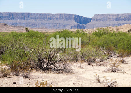 Santa Elena Canyon seen from about 10 miles away on Maverick Drive in the southwestern section of Big Bend National Park. Stock Photo