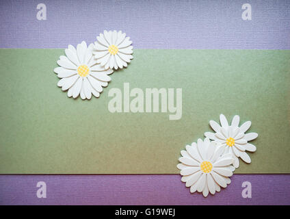 frame of daisies Stock Photo