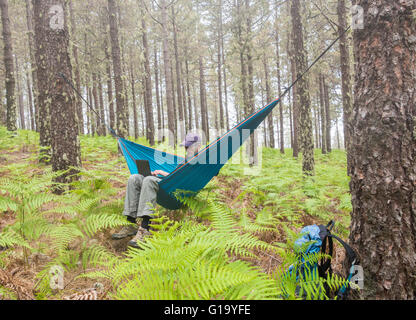 Mature male hiker using laptop in hammock in forest. Possible uses: Travel/remote working/adventure/ digital nomad/Shinrin Yoku concept image Stock Photo
